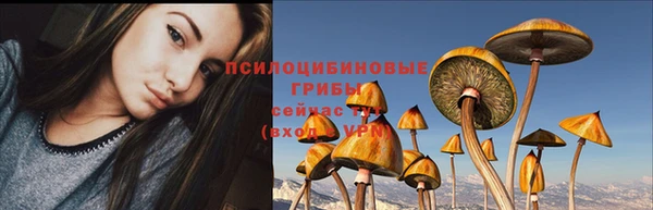 МДПВ Белокуриха