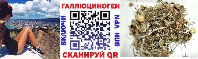 Псилоцибиновые грибы ЛСД  Верея 